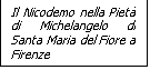 Casella di testo: Il Nicodemo nella Pietà di Michelangelo di Santa Maria del Fiore a Firenze 
